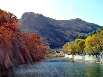 宽川乡新项目引领乡村发展新篇章